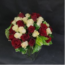 Bouquet of white and red roses (Compact)
